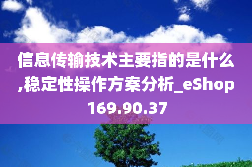 信息传输技术主要指的是什么,稳定性操作方案分析_eShop169.90.37