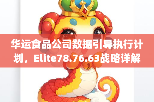 华运食品公司数据引导执行计划，Elite78.76.63战略详解