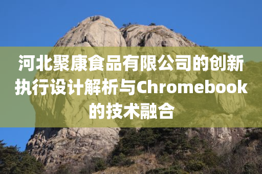 河北聚康食品有限公司的创新执行设计解析与Chromebook的技术融合