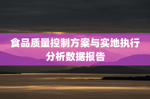 食品质量控制方案与实地执行分析数据报告