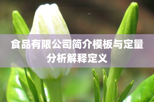 食品有限公司简介模板与定量分析解释定义