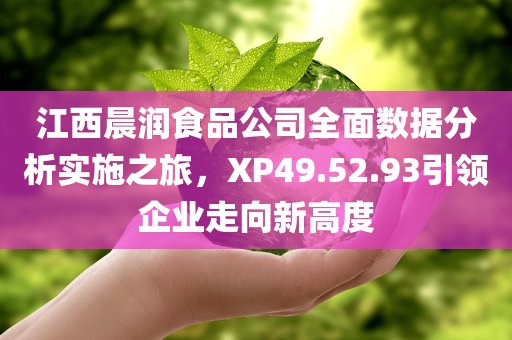 江西晨润食品公司全面数据分析实施之旅，XP49.52.93引领企业走向新高度