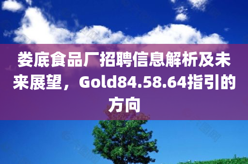 娄底食品厂招聘信息解析及未来展望，Gold84.58.64指引的方向