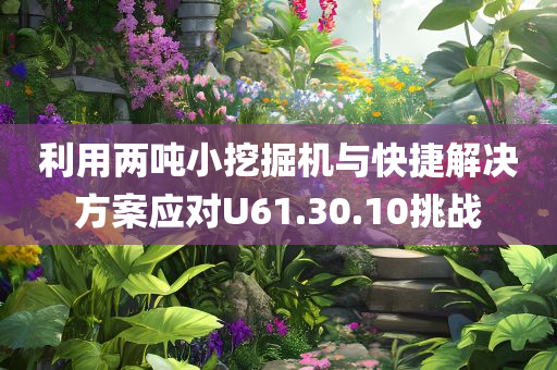 利用两吨小挖掘机与快捷解决方案应对U61.30.10挑战