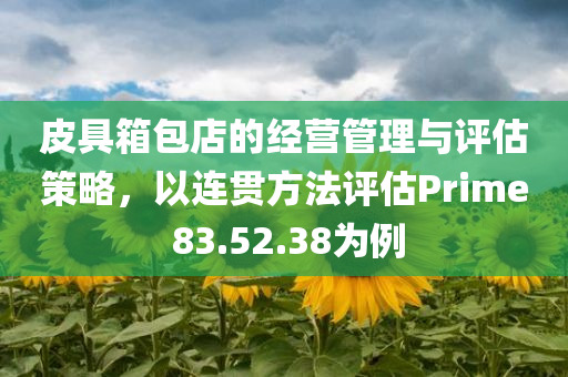 皮具箱包店的经营管理与评估策略，以连贯方法评估Prime 83.52.38为例