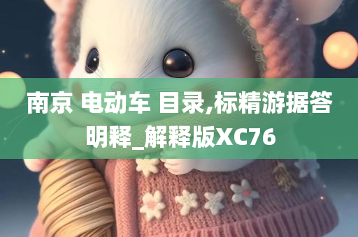 南京 电动车 目录,标精游据答明释_解释版XC76