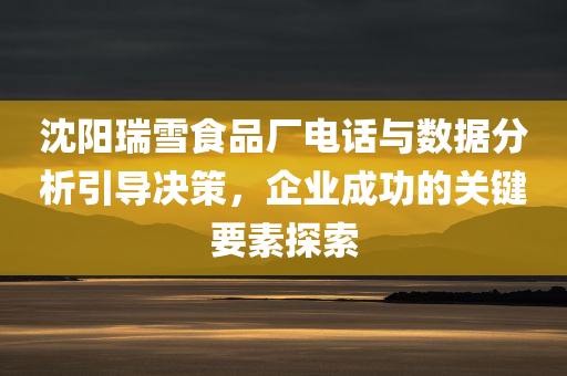 沈阳瑞雪食品厂电话与数据分析引导决策，企业成功的关键要素探索