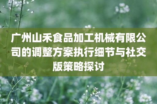 广州山禾食品加工机械有限公司的调整方案执行细节与社交版策略探讨