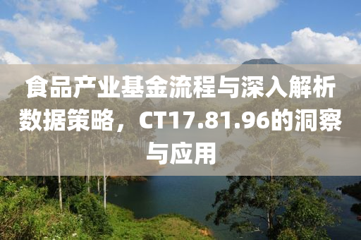 食品产业基金流程与深入解析数据策略，CT17.81.96的洞察与应用