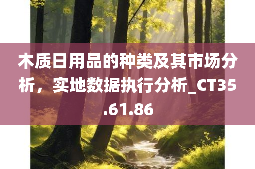 木质日用品的种类及其市场分析，实地数据执行分析_CT35.61.86