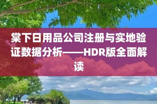 棠下日用品公司注册与实地验证数据分析——HDR版全面解读