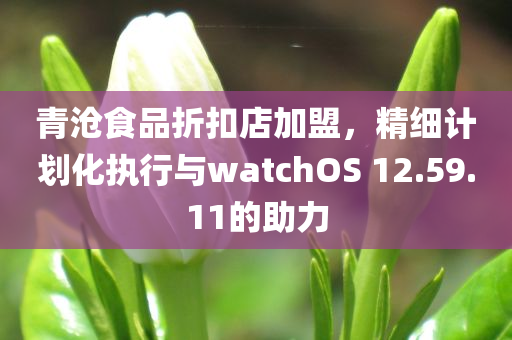 青沧食品折扣店加盟，精细计划化执行与watchOS 12.59.11的助力