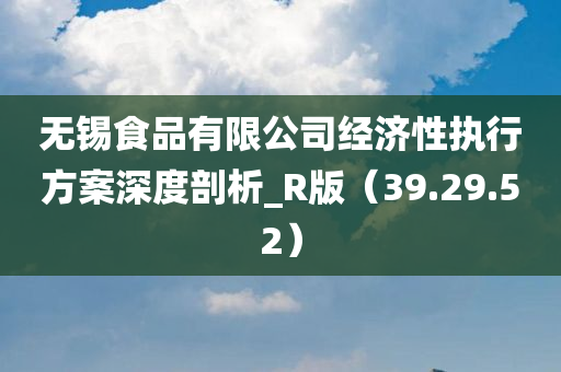 无锡食品有限公司经济性执行方案深度剖析_R版（39.29.52）