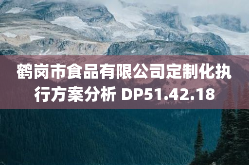 鹤岗市食品有限公司定制化执行方案分析 DP51.42.18