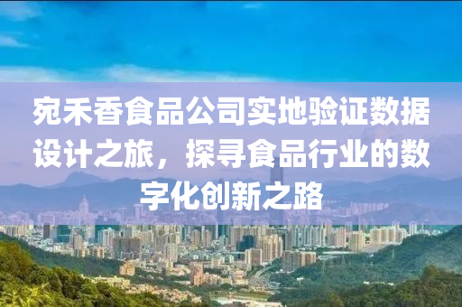 宛禾香食品公司实地验证数据设计之旅，探寻食品行业的数字化创新之路