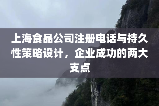 上海食品公司注册电话与持久性策略设计，企业成功的两大支点