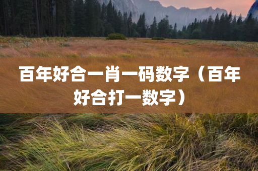 百年好合一肖一码数字（百年好合打一数字）