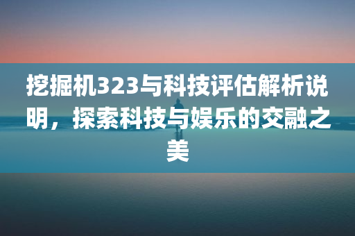 挖掘机323与科技评估解析说明，探索科技与娱乐的交融之美