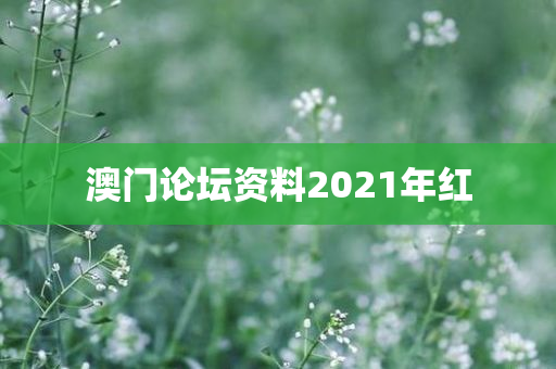 澳门论坛资料2021年红