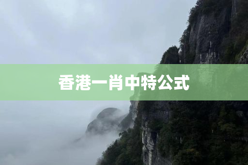 香港一肖中特公式