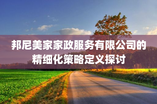 邦尼美家家政服务有限公司的精细化策略定义探讨