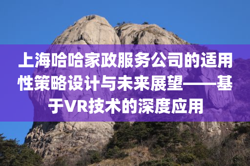 上海哈哈家政服务公司的适用性策略设计与未来展望——基于VR技术的深度应用