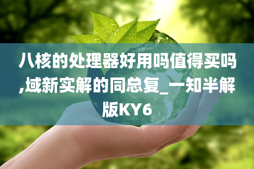 八核的处理器好用吗值得买吗,域新实解的同总复_一知半解版KY6