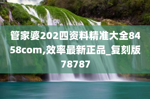 管家婆202四资料精准大全8458com,效率最新正品_复刻版78787