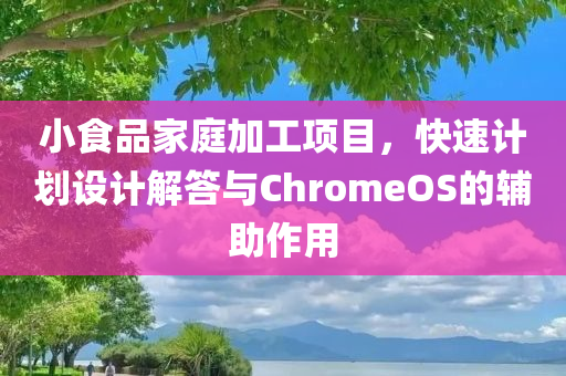 小食品家庭加工项目，快速计划设计解答与ChromeOS的辅助作用