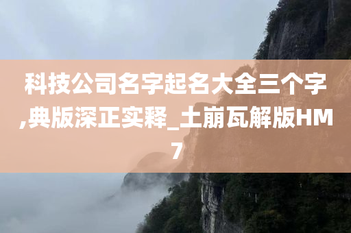 科技公司名字起名大全三个字,典版深正实释_土崩瓦解版HM7