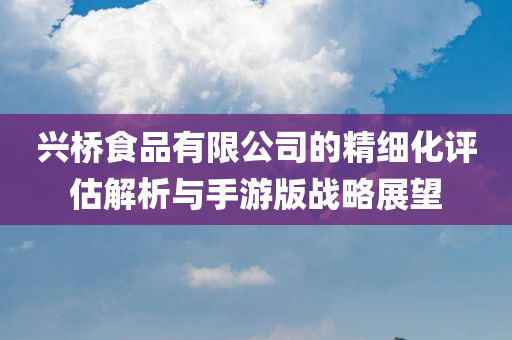 兴桥食品有限公司的精细化评估解析与手游版战略展望