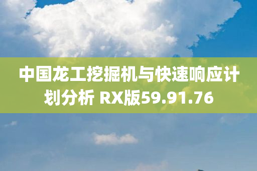 中国龙工挖掘机与快速响应计划分析 RX版59.91.76