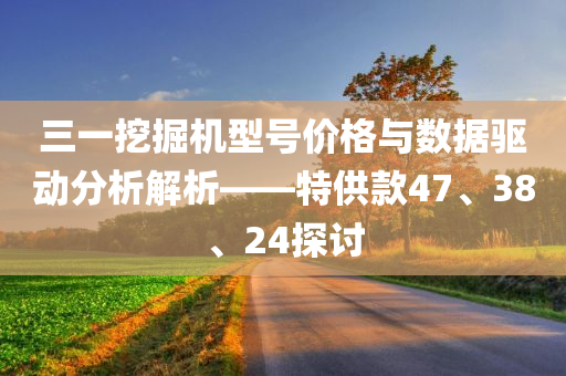 三一挖掘机型号价格与数据驱动分析解析——特供款47、38、24探讨