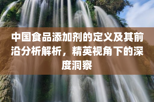 中国食品添加剂的定义及其前沿分析解析，精英视角下的深度洞察