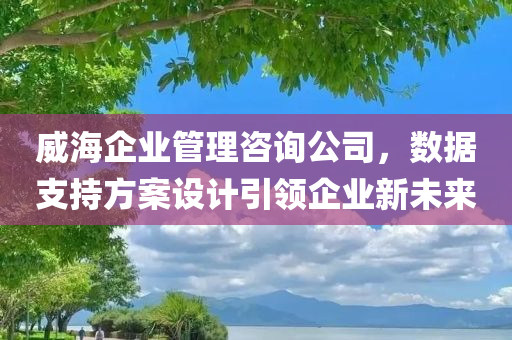 威海企业管理咨询公司，数据支持方案设计引领企业新未来