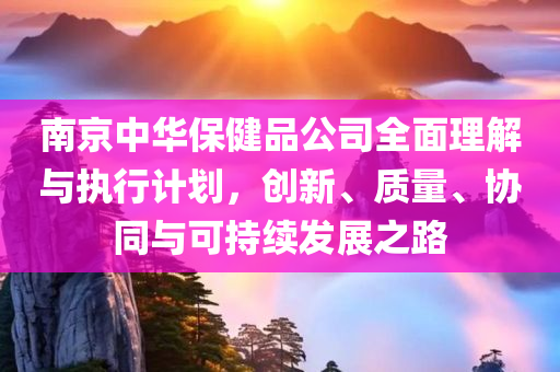 南京中华保健品公司全面理解与执行计划，创新、质量、协同与可持续发展之路