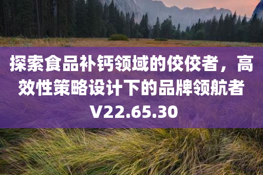 探索食品补钙领域的佼佼者，高效性策略设计下的品牌领航者 V22.65.30