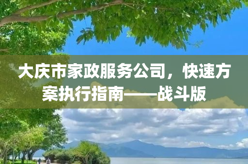 大庆市家政服务公司，快速方案执行指南——战斗版