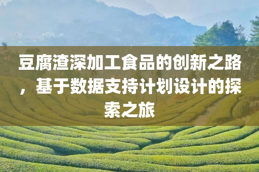 豆腐渣深加工食品的创新之路，基于数据支持计划设计的探索之旅