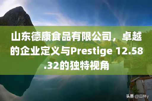 山东德康食品有限公司，卓越的企业定义与Prestige 12.58.32的独特视角