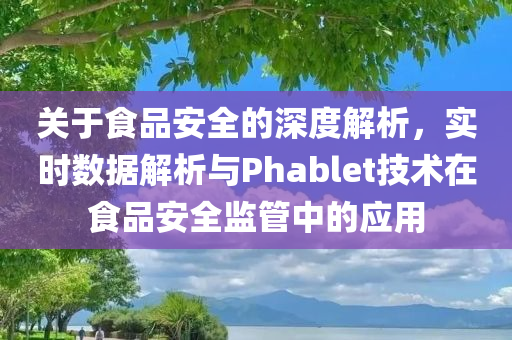 关于食品安全的深度解析，实时数据解析与Phablet技术在食品安全监管中的应用