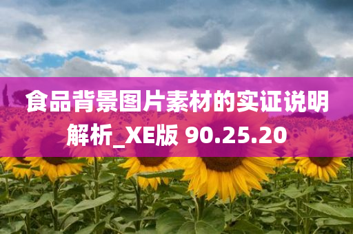 食品背景图片素材的实证说明解析_XE版 90.25.20