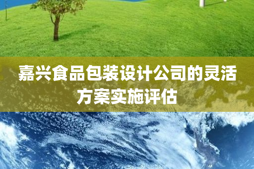 嘉兴食品包装设计公司的灵活方案实施评估