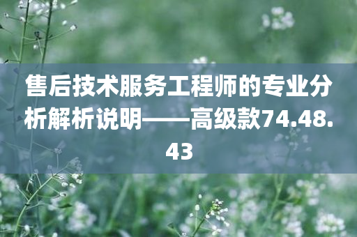 售后技术服务工程师的专业分析解析说明——高级款74.48.43