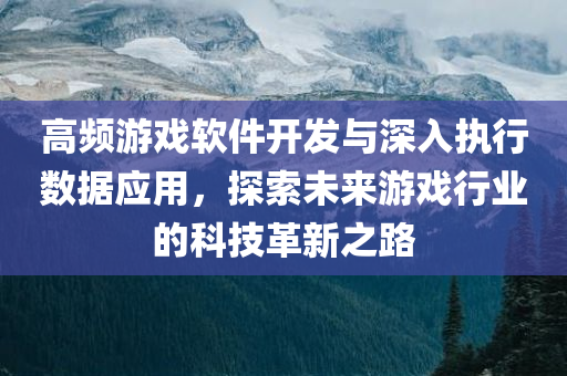 高频游戏软件开发与深入执行数据应用，探索未来游戏行业的科技革新之路