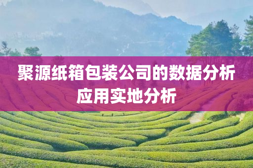 聚源纸箱包装公司的数据分析应用实地分析