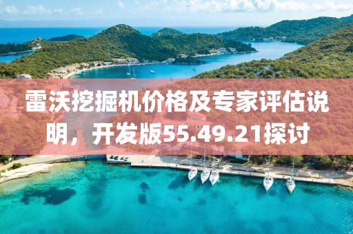 雷沃挖掘机价格及专家评估说明，开发版55.49.21探讨