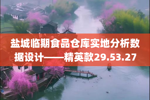 盐城临期食品仓库实地分析数据设计——精英款29.53.27