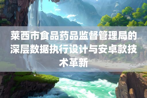 莱西市食品药品监督管理局的深层数据执行设计与安卓款技术革新