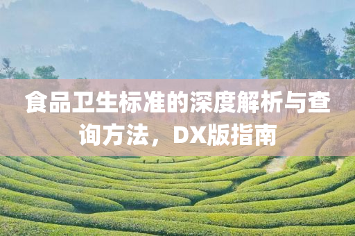 食品卫生标准的深度解析与查询方法，DX版指南